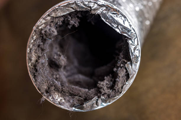 Best Air Duct Cleaning Near Me  in Berry College, GA